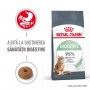 Petshop Online - Petmaster.ro