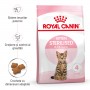 Petshop Online - Petmaster.ro