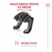 2kg Royal Canin Healthy Ageing 11+ hrana uscata pisici senior