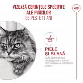2kg Royal Canin Healthy Ageing 11+ hrana uscata pisici senior
