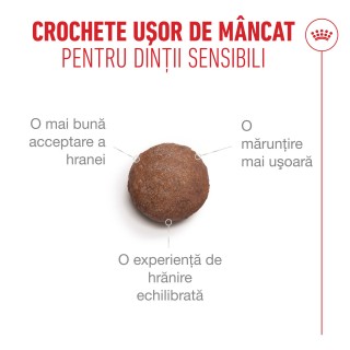 boabe usor de mancat de pisicile batrane
