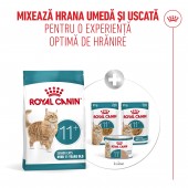 2kg Royal Canin Healthy Ageing 11+ hrana uscata pisici senior