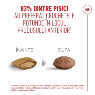 83% din proprietarii de pisici au fost multumiti de Royal Canin healthy ageing