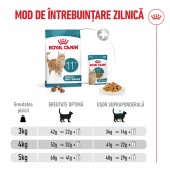 2kg Royal Canin Healthy Ageing 11+ hrana uscata pisici senior