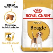 Royal Canin Beagle Adult hrana uscata caine, 3 kg
