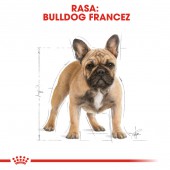 Royal Canin French Bulldog Adult hrana uscata caini rasa bulldog francez, 3 kg