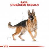 Royal Canin German Shepherd Adult hrana uscata caine Ciobanesc German, 3 kg