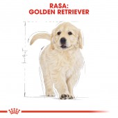 Royal Canin Golden Retriever Puppy hrana uscata caine junior, 3 kg