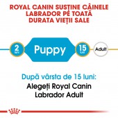 Royal Canin Labrador Puppy hrana uscata caine junior, 12 kg