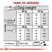 Royal Canin Maxi Dental Care Adult hrana uscata caine pentru reducerea formarii tartrului, 9 kg
