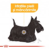 Royal Canin Mini Dermacomfort hrana uscata caini de talie mica, prevenirea iritatiilor pielii, 3 kg