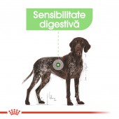 Royal Canin Maxi Digestive Care hrana uscata caini confort digestiv, 12 kg