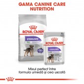 Royal Canin Sterilised Loaf hrana umeda caine adult sterilizat, pate, 12 x 85 g