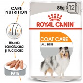 Royal Canin Coat Care Adult hrana umeda caine pentru blana sanatoasa si lucioasa, 85 g