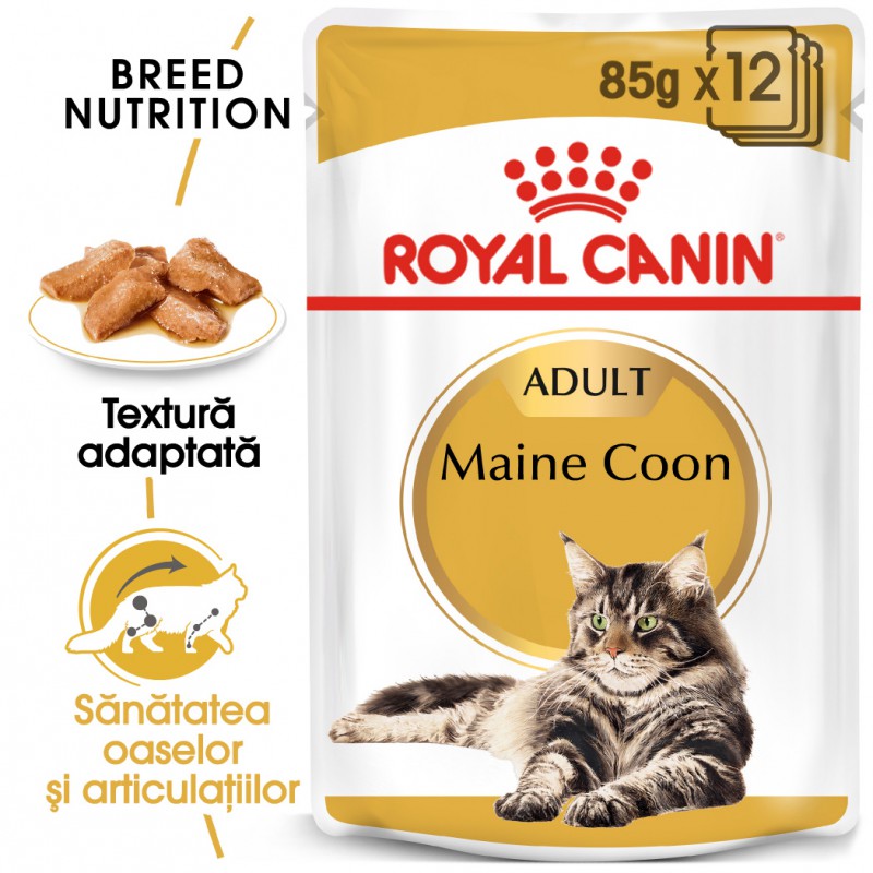 Royal Canin Maine Coon Adult Gravy hrana umeda pisica, 85 g
