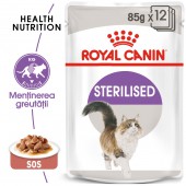 Royal Canin Sterilised Gravy hrana umeda in sos pisica sterilizata, 85 g