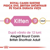 Royal Canin British Shorthair Kitten hrana uscata pisici junior, 400 g