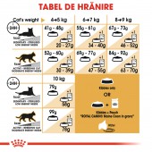 Royal Canin Maine Coon Adult hrana uscata pisici, 10 kg