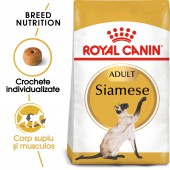 Royal Canin Siamese Adult hrana uscata pisici, 2 kg