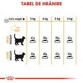 Royal Canin Hair&Skin Care Adult hrana uscata pisica pentru piele si blana, 4 kg