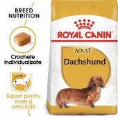 Royal Canin Dachshund Adult hrana uscata caini Teckel, 1.5 kg