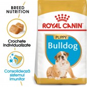 Royal Canin Bulldog Puppy hrana uscata caini junior rasa bulldog, 12 kg