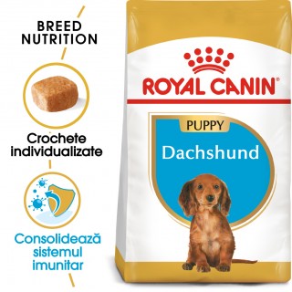 Royal Canin Dachshund Puppy hrana uscata caini junior Teckel, 1.5 kg