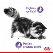Royal Canin Apetite Control Adult hrana uscata pisici pentru reglarea apetitului, 3.5 kg
