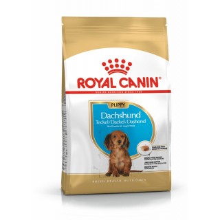 Royal Canin Dachshund Puppy hrana uscata caini junior Teckel, 1.5 kg