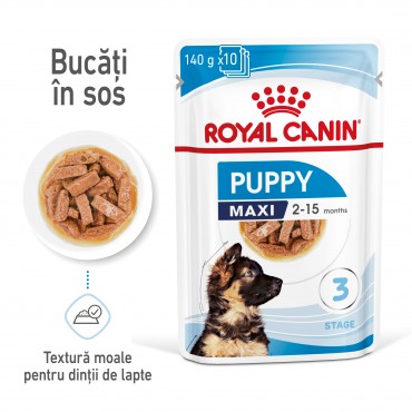 Royal Canin Maxi Puppy Gravy hrana umeda caine junior, 10 x 140 g