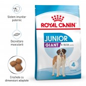 Royal Canin Giant Junior hrana uscata caine junior etapa 2 de crestere, 15 kg