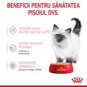 Royal Canin Kitten hrana umeda pentru pisica, pate,12 x 85 g
