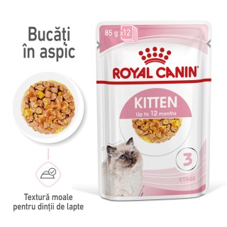 Royal Canin Kitten hrana umeda pentru pisica, in aspic, plic 85 g