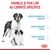 Royal Canin Giant Starter Mother & Babydog gestatie/ lactatie pui hrana uscata, 15 kg