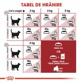 10kg +2kg gratis Royal Canin Fit32 Adult activitate fizica moderata hrana uscata pisici
