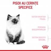 1,2kg Royal Canin Kitten hrana uscata pisica junior