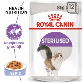 Royal Canin Sterilised Jelly hrana umeda pisici in gelatina 12x85g